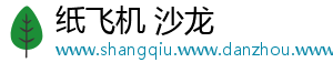 纸飞机 沙龙